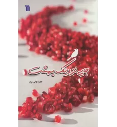 کتاب جایی نزدیک بهشت