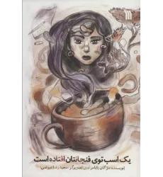 کتاب یک اسب در فنجانتان افتاده است