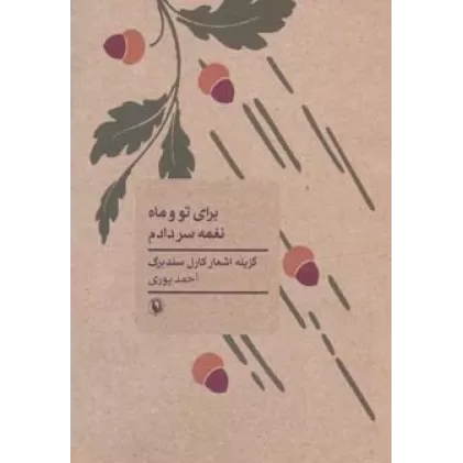 کتاب برای تو و ماه نغمه سر دادم (گزینه اشعار کارل سندبرگ)