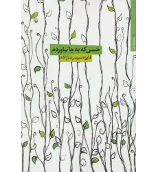 کتاب حسی که به جا نیاوردم (مجموعه شعر)