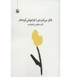 کتاب فکر می کنم تو را فراموش کرده ام (مجموعه شعر سپید)