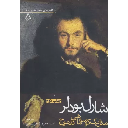 مثل یک کوسه ماهی در موج (دفترهای شعر مدرن 1)
