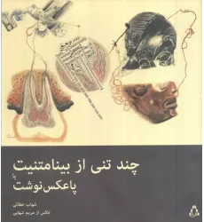 کتاب چند تنی از بینامتنیت یا پاعکس نوشت (گلاسه)