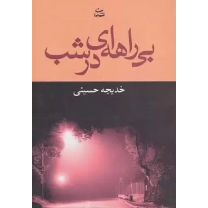 کتاب بی راهه ای در شب