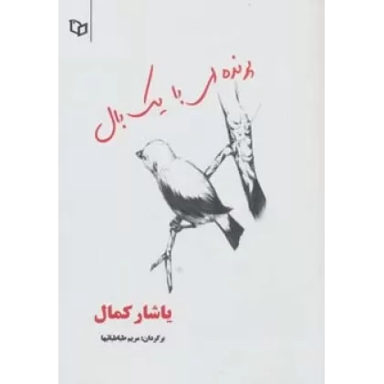 کتاب پرنده ای با یک بال