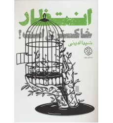 کتاب انتظار خاکستری است!