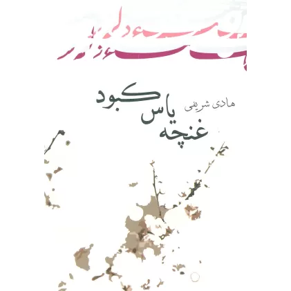 کتاب ادبیات برتر،رمان26 (غنچه یاس کبود)