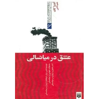 کتاب عشق در میانسالی (غلبه بر مشکلات)