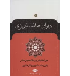 کتاب دیوان صائب تبریزی (2جلدی)