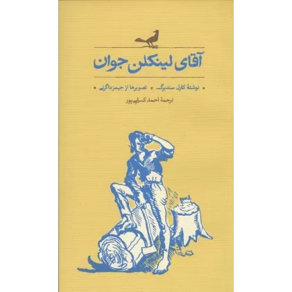 کتاب آقای لینکلن جوان