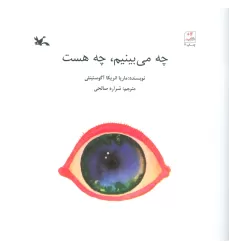 کتاب چه می بینم،چه هست