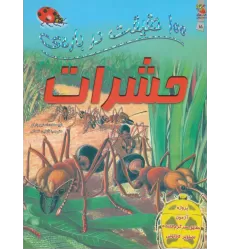 100 حقیقت درباره ی حشرات (کتاب های توت فرنگی15)،(گلاسه)