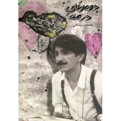 کتاب دو مرغابی در مه