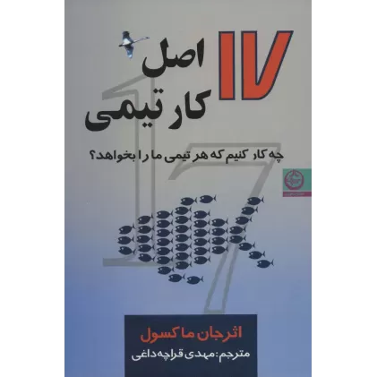 کتاب 17 اصل کار تیمی (چه کار کنیم که هر تیمی ما را بخواهد؟)