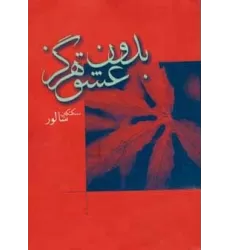 کتاب بدون عشق هرگز