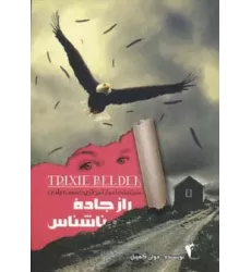 کتاب راز جاده ناشناس (ماجراهای اسرار آمیز تریکسی بلدن)