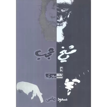 کتاب شیخ عجب و تنبوری