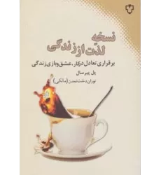 کتاب نسخه لذت از زندگی (برقراری تعادل در کار،عشق و بازی زندگی)