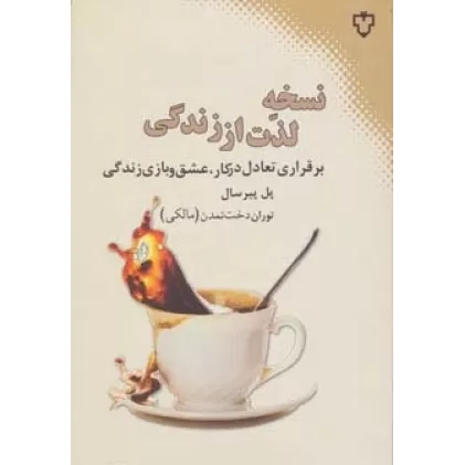 کتاب نسخه لذت از زندگی (برقراری تعادل در کار،عشق و بازی زندگی)