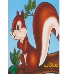 کتاب سنجاب (گلاسه)