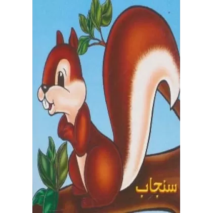 کتاب سنجاب (گلاسه)