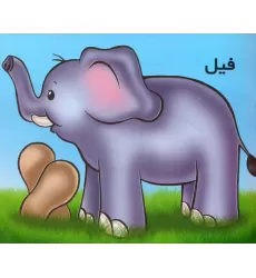کتاب فیل (گلاسه)