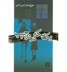 کتاب یک سکه در دو جیب